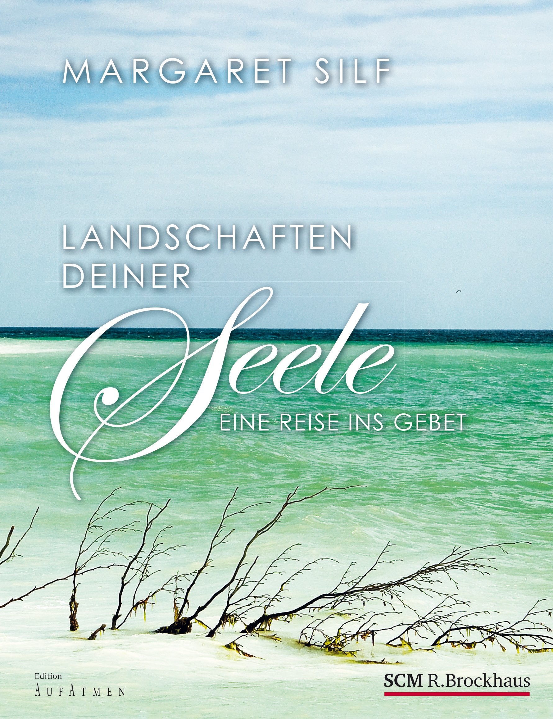 Landschaften deiner Seele: Eine Reise ins Gebet (Edition Aufatmen) Religion & Esotericism