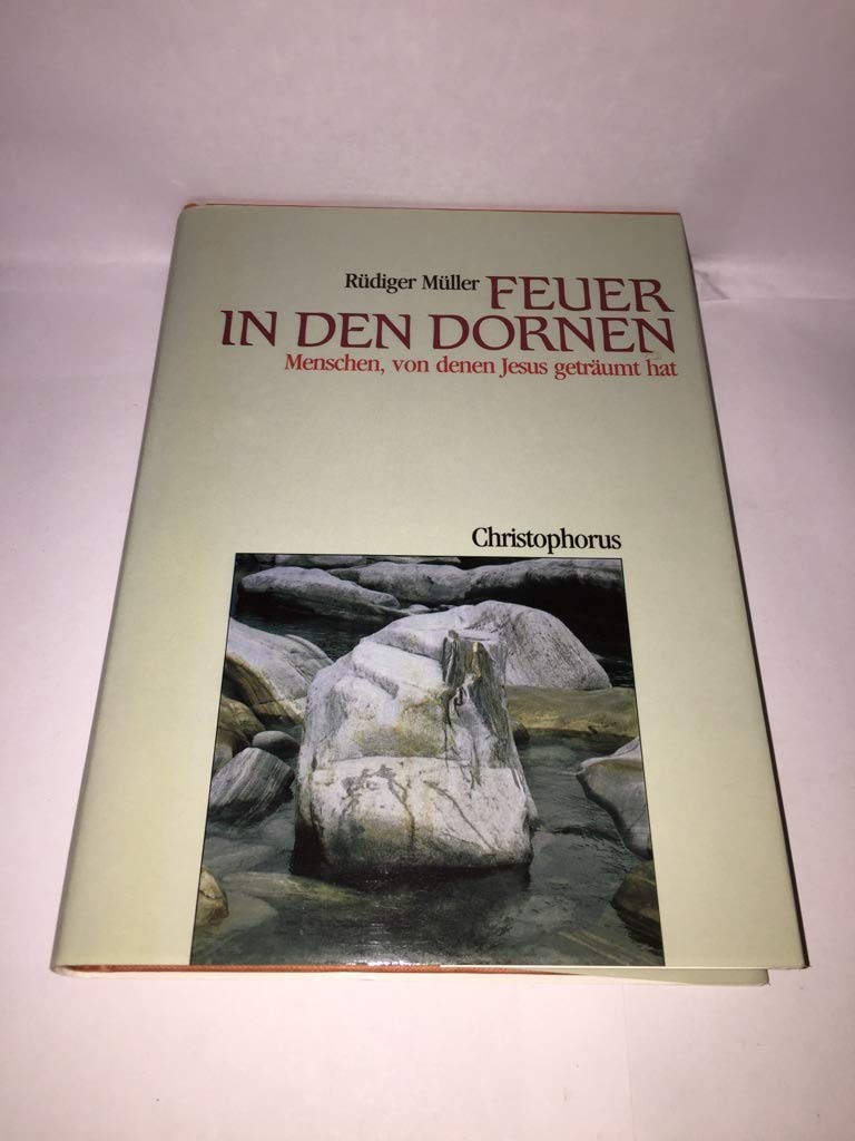 Feuer in den Dornen. Geschichten von Leuten, die auszogen, den Himmel zu suchen Books