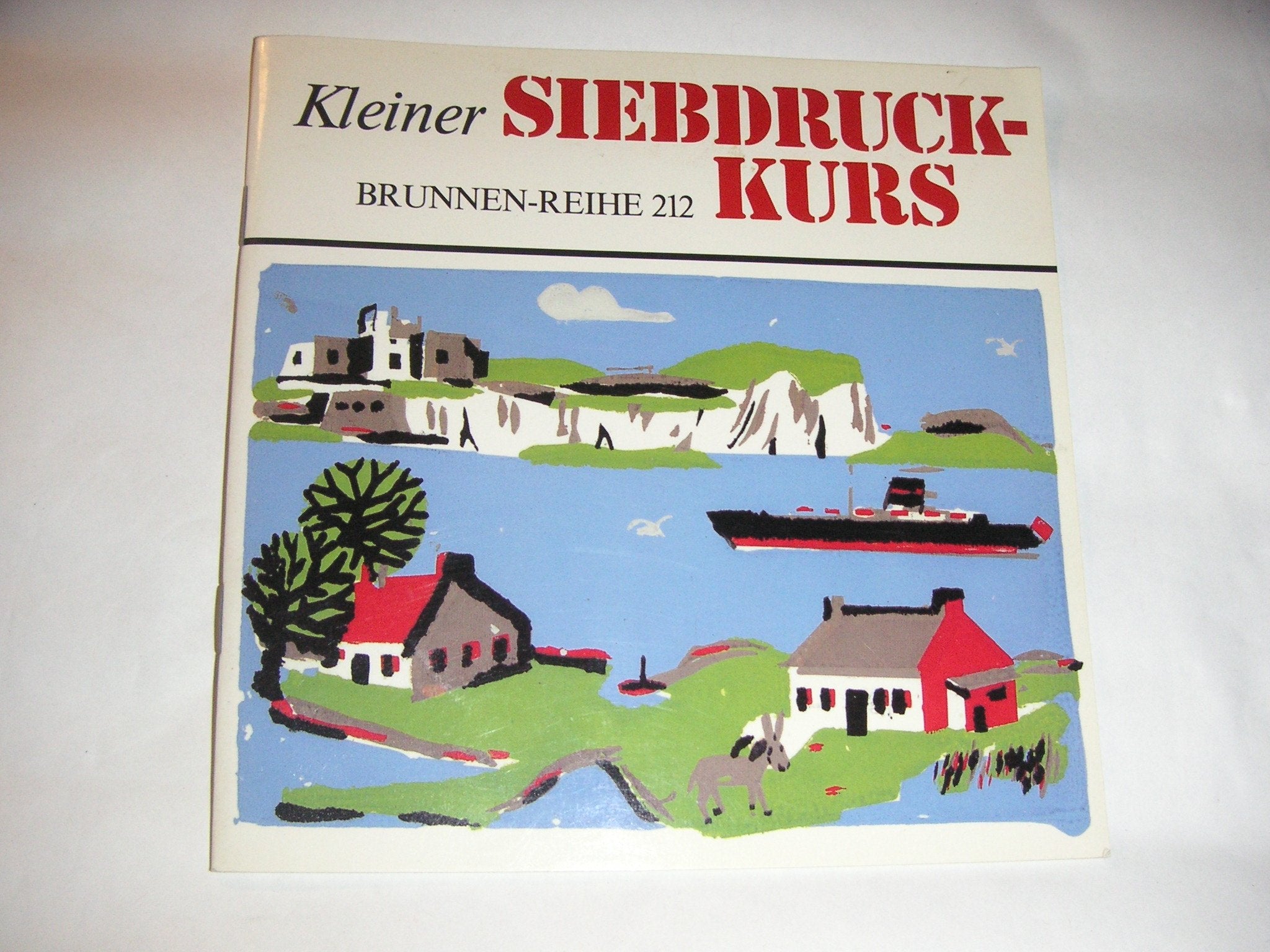 Kleiner Siebdruck- Kurs. Hobbies & Crafts Books
