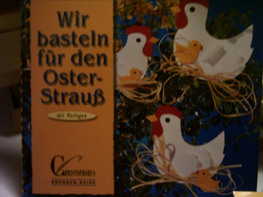Brunnen-Reihe, Wir basteln für den Osterstrauß Hobbies & Crafts