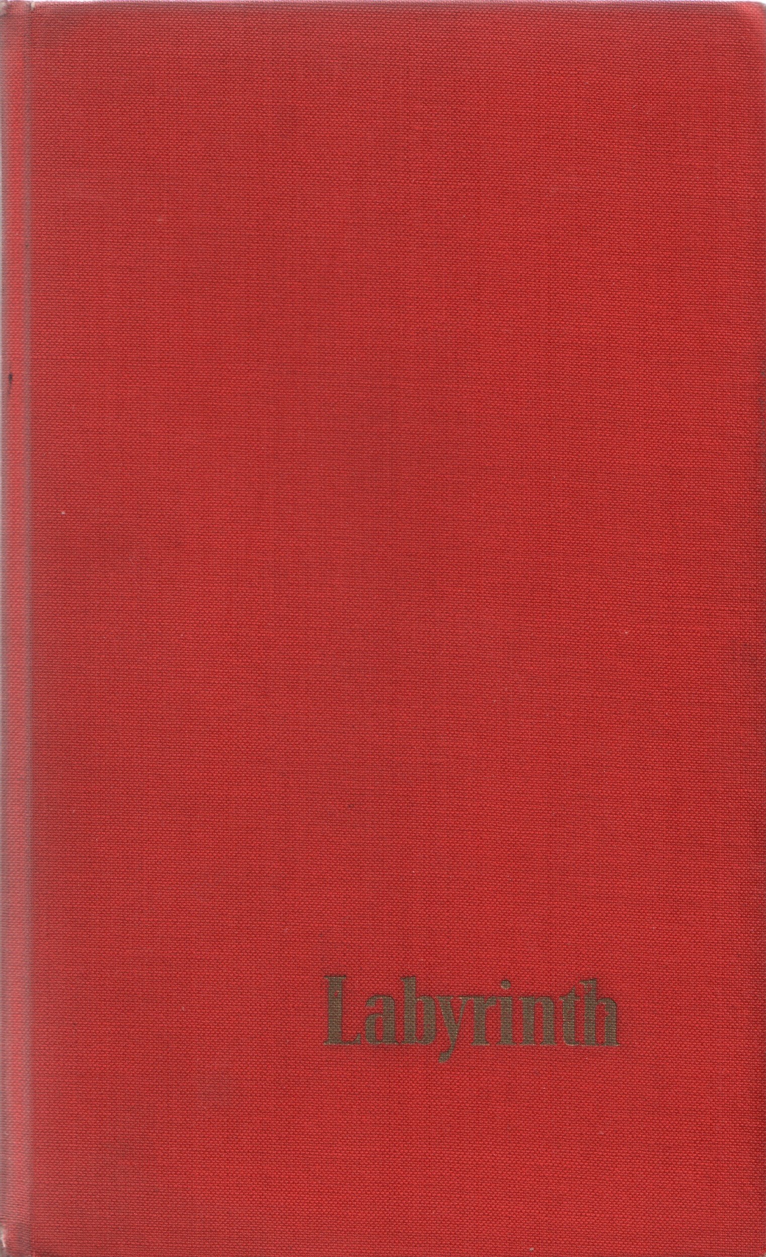 Labyrinth. Report eines Außenseiters Books