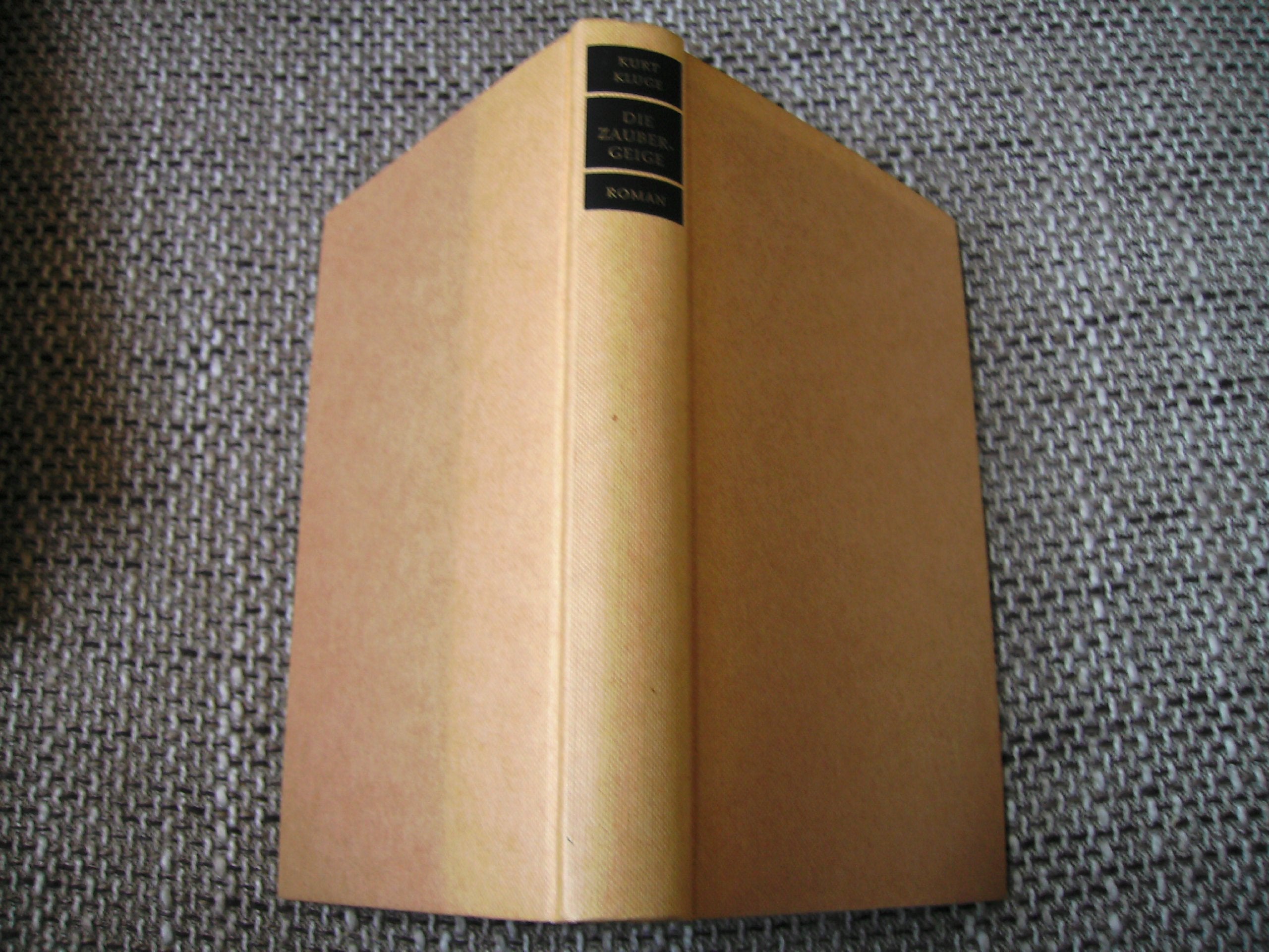 Die Zaubergeige Contemporary literature Books