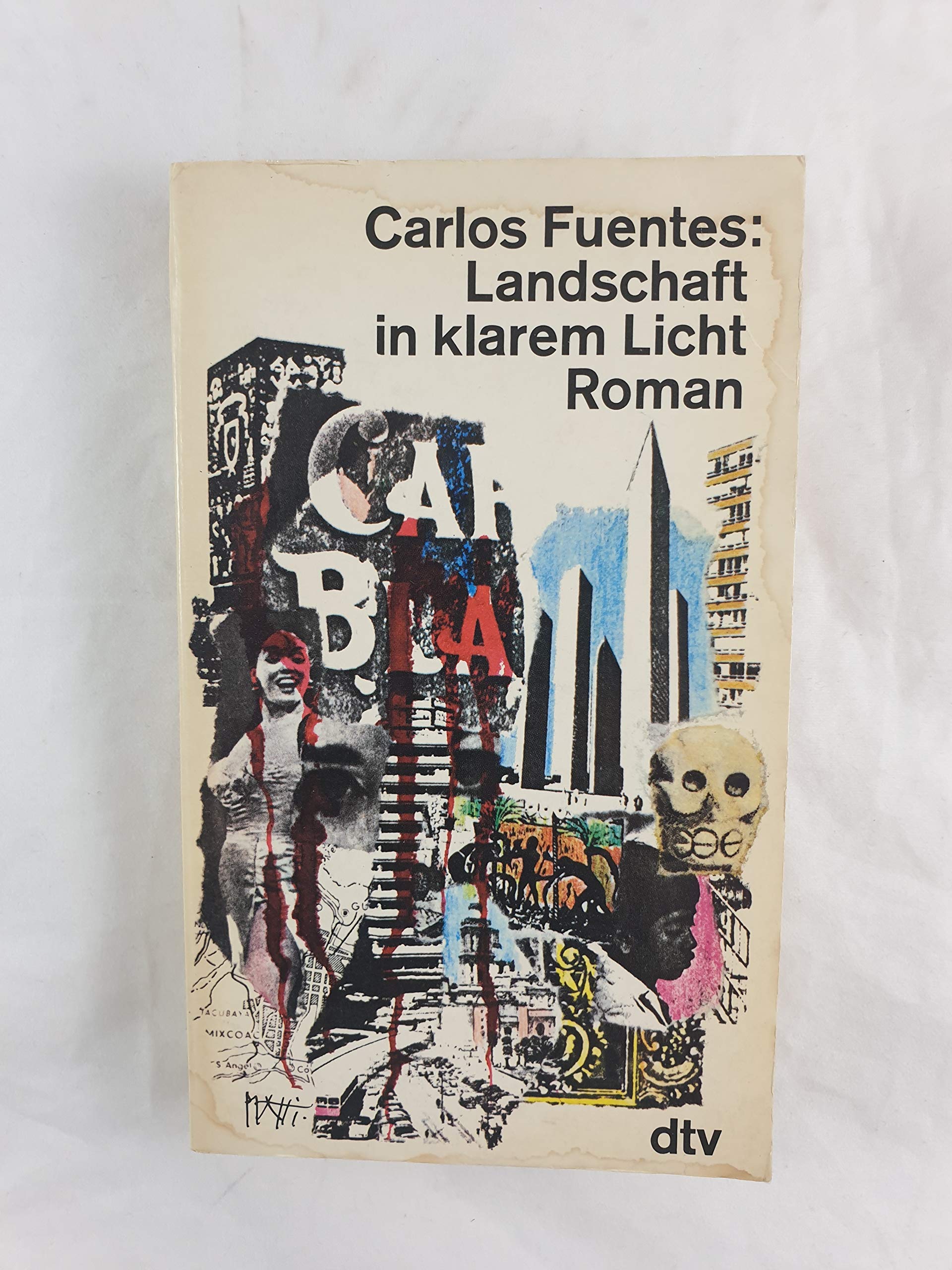 Landschaft im klaren Licht Books