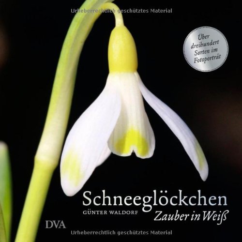 Schneeglöckchen: Zauber in Weiß. - Über dreihundert Sorten im Fotoporträt - Garden & Plants