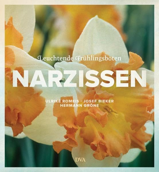 Narzissen Garden & Plants