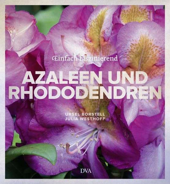 Azaleen und Rhododendren Garden & Plants