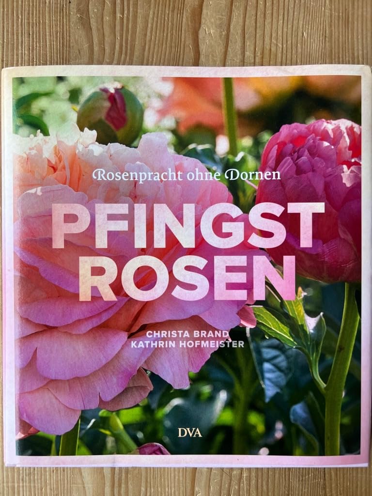 Product Image: Pfingstrosen