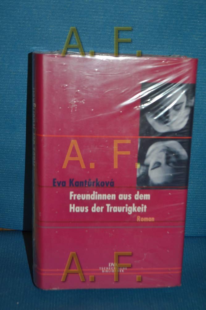 Freundinnen aus dem Haus der Traurigkeit Contemporary literature