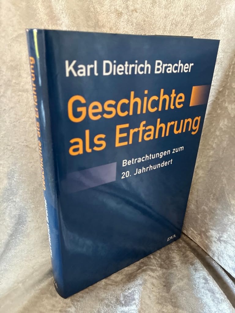 Geschichte als Erfahrung: Betrachtungen zum 20. Jahrhundert Politics & History