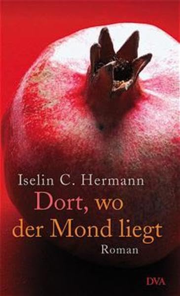 Dort, wo der Mond liegt: Roman Contemporary literature