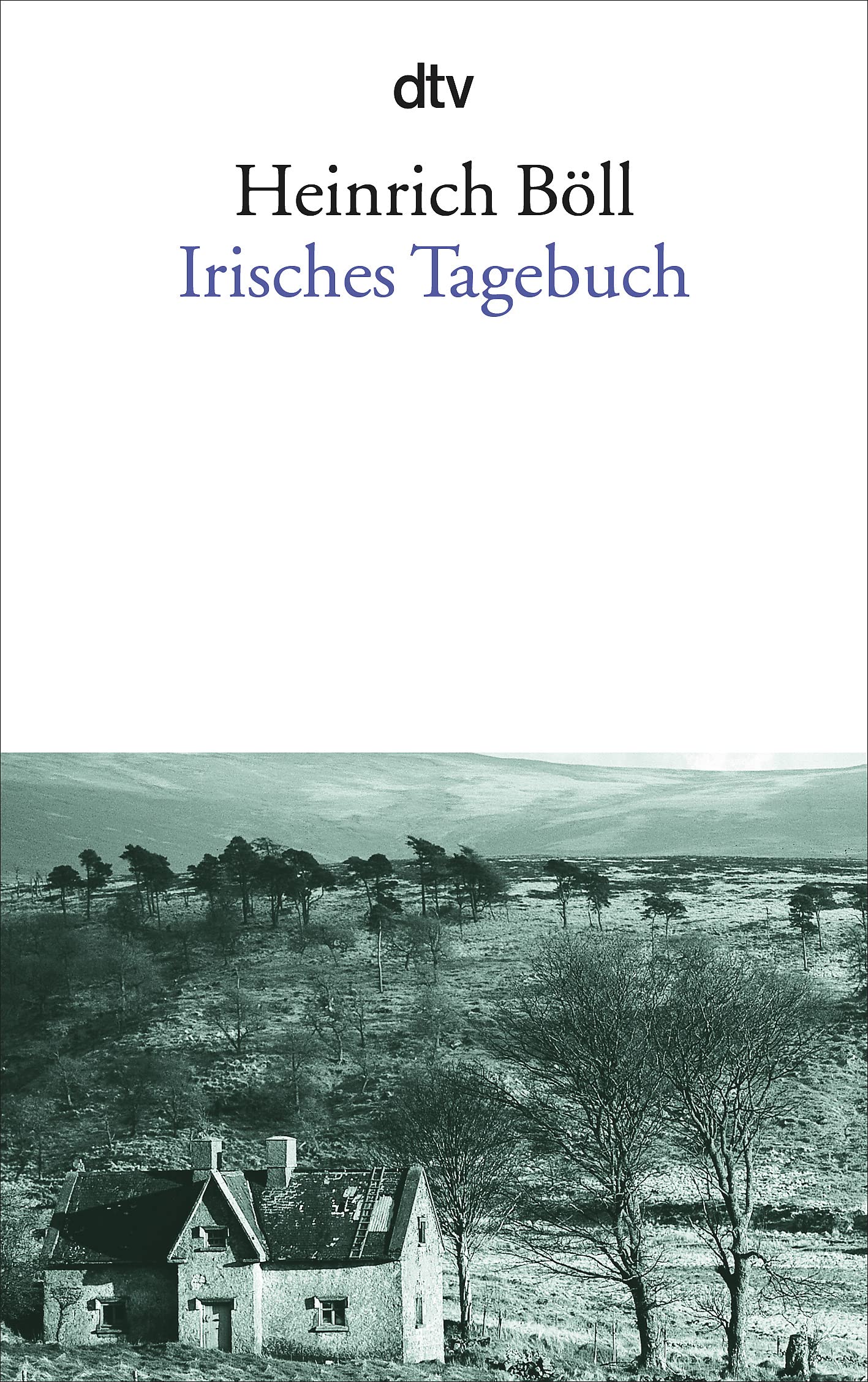 Product Image: Irisches Tagebuch