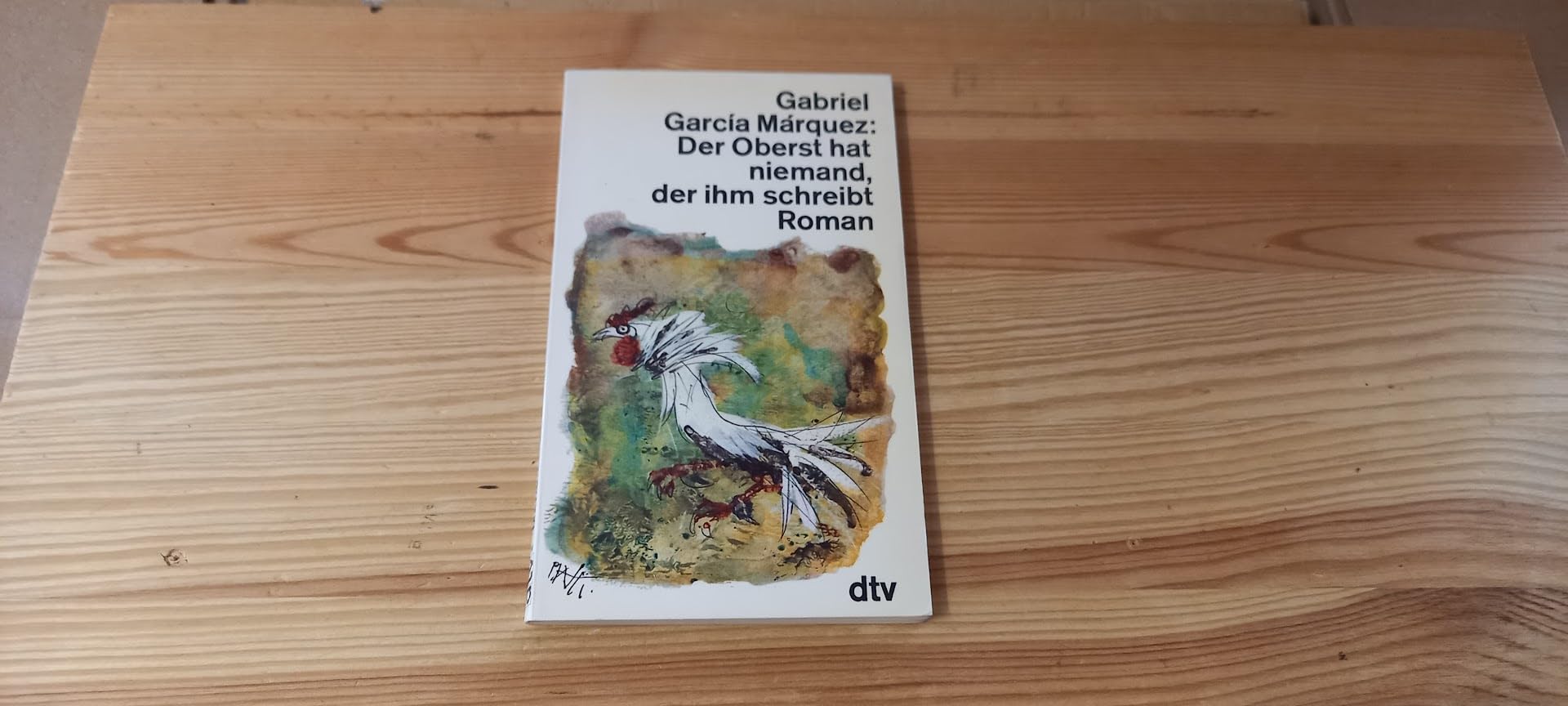 DER OBERST HAT NIEMAND, DER: Roman (dtv Literatur) Contemporary literature