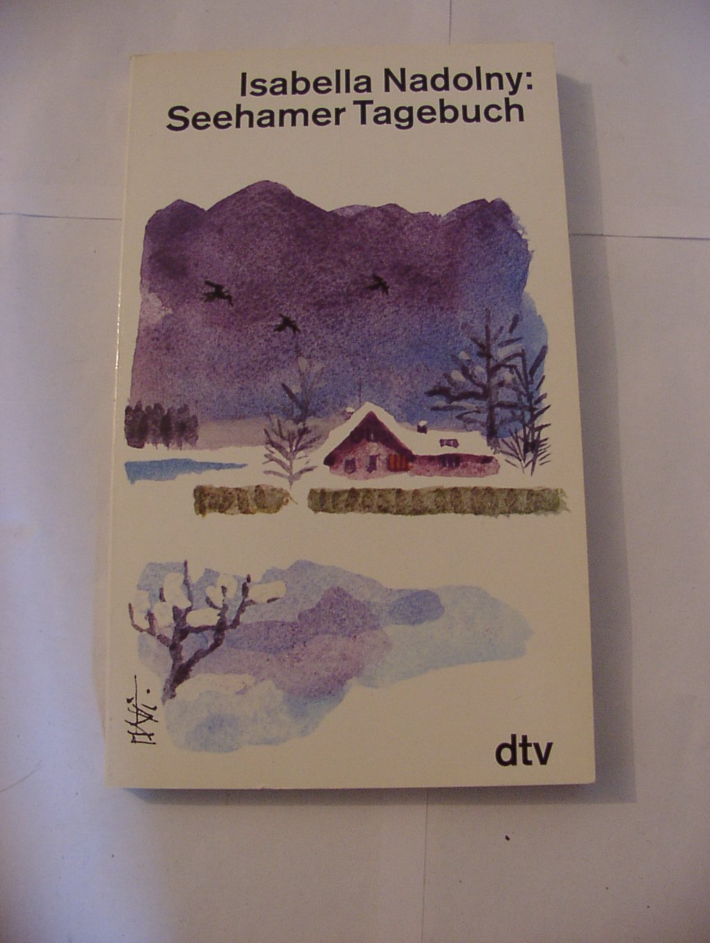 SEEHAMER TAGEBUCH (dtv Literatur) Contemporary literature