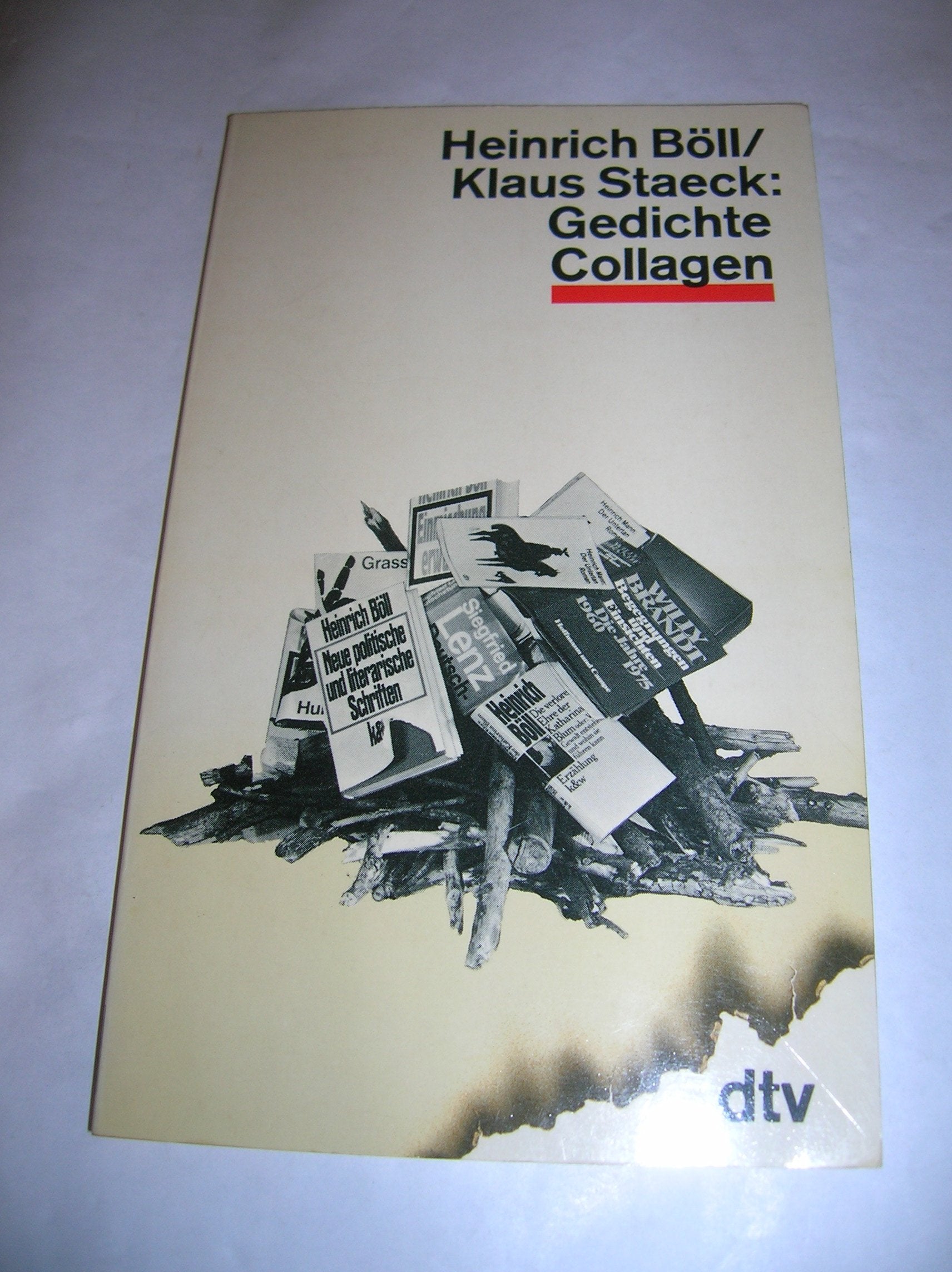 Gedichte Collagen (dtv Literatur) Books
