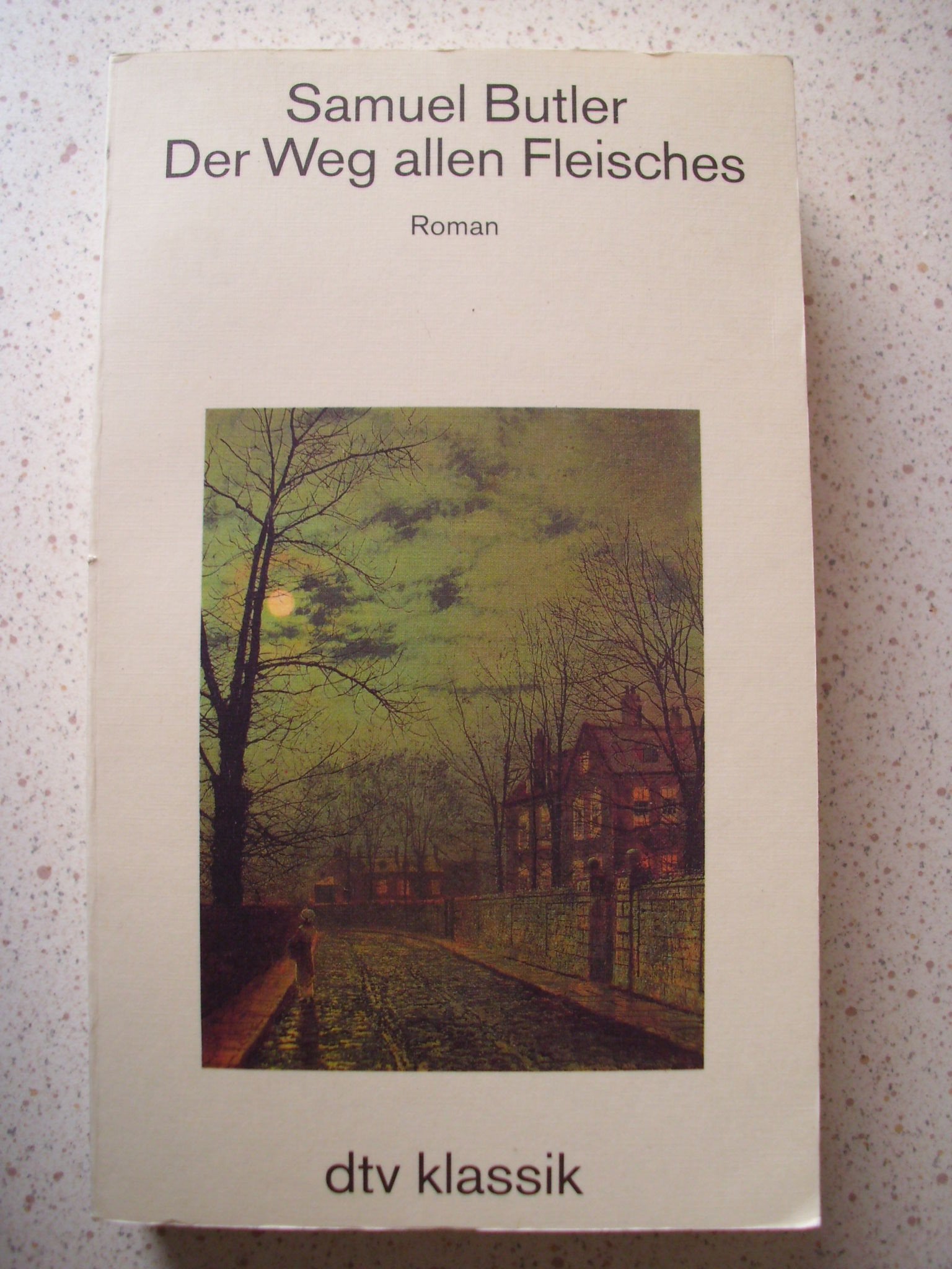 Der Weg allen Fleisches: Roman (dtv Klassik) Books