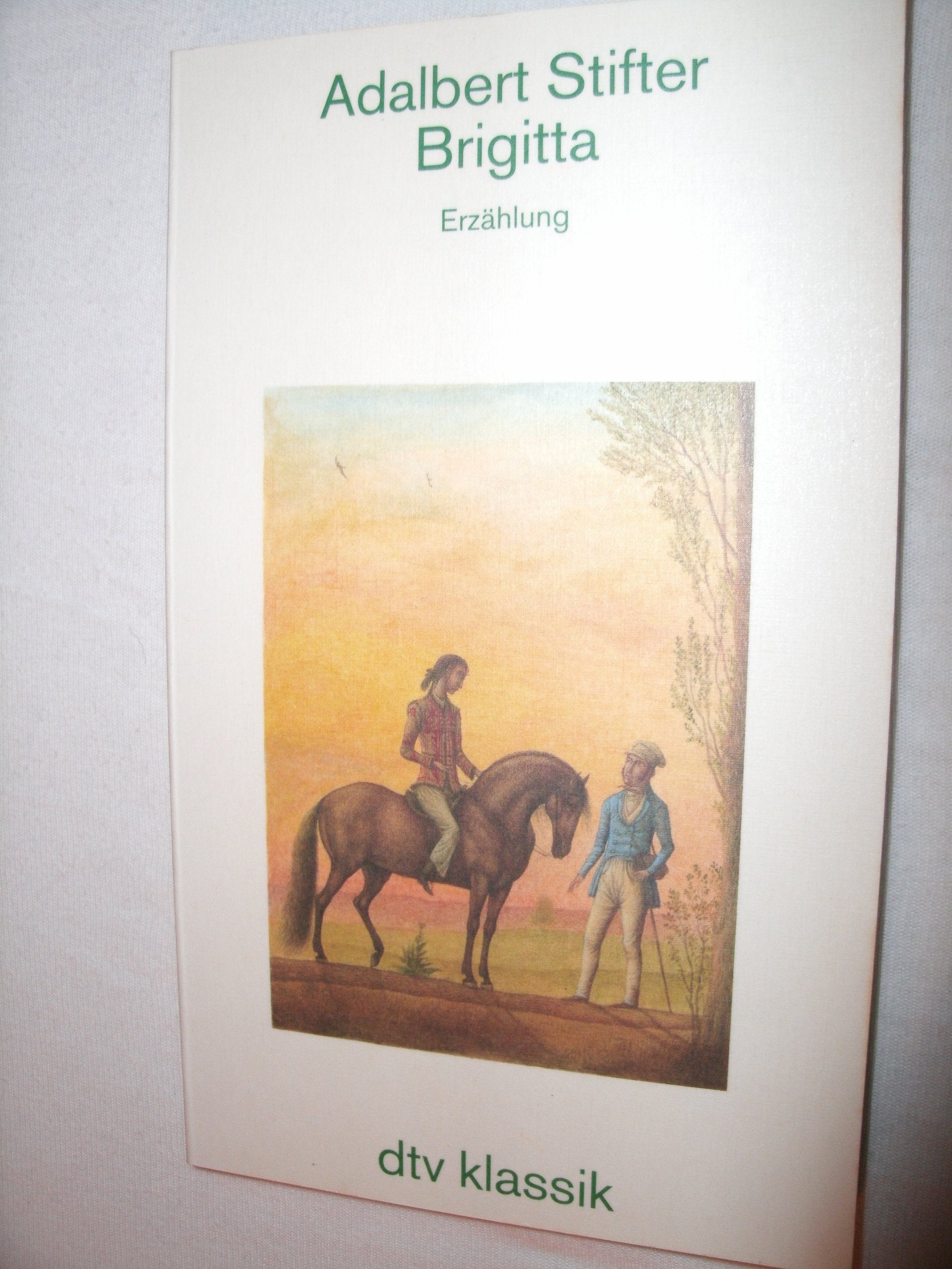 Brigitta. Erzählung. (dtv Klassik) Books