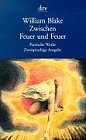 Zwischen Feuer und Feuer Poetische Werke. Zweisprachige Ausgabe: Aus dem Englischen neu übersetzt und mit Anm. hrsg. von – Thomas Eichhorn. Nachwort von Susanne Schmid (dtv Literatur) Classics