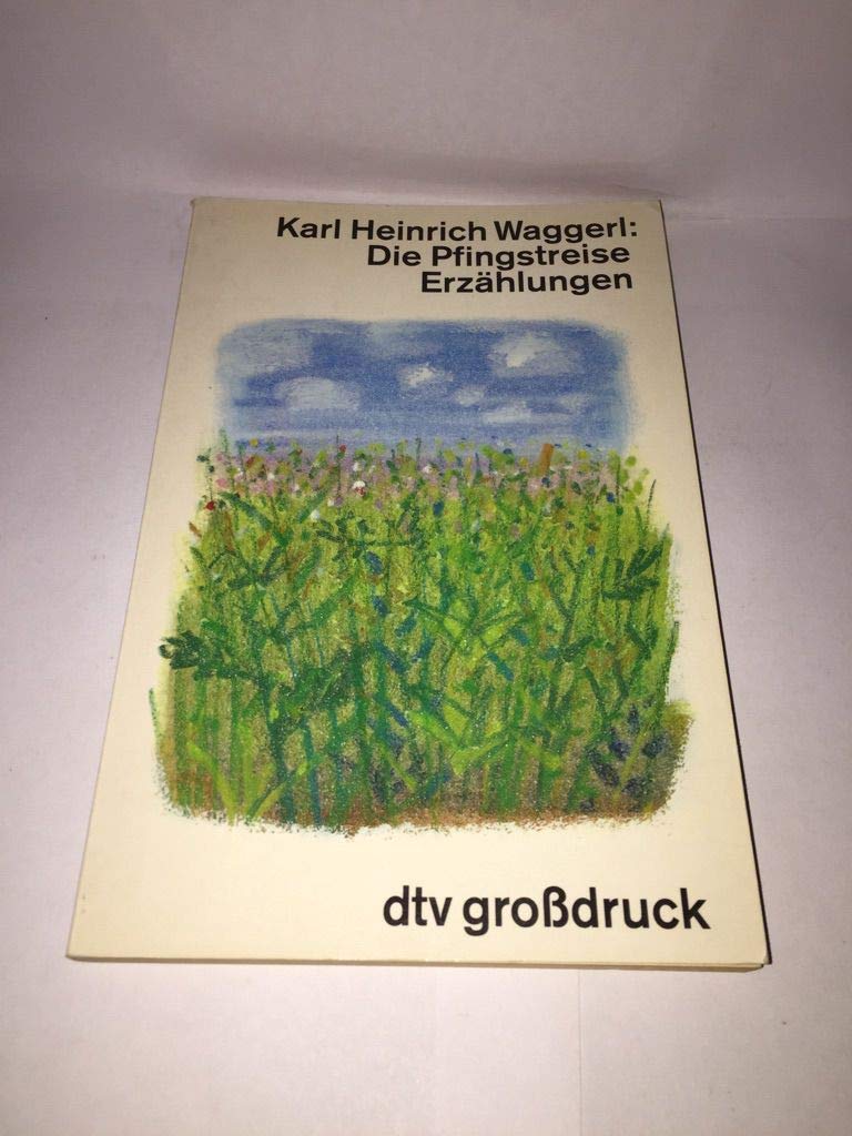 Die Pfingstreise: Erzählungen (dtv großdruck) Fiction