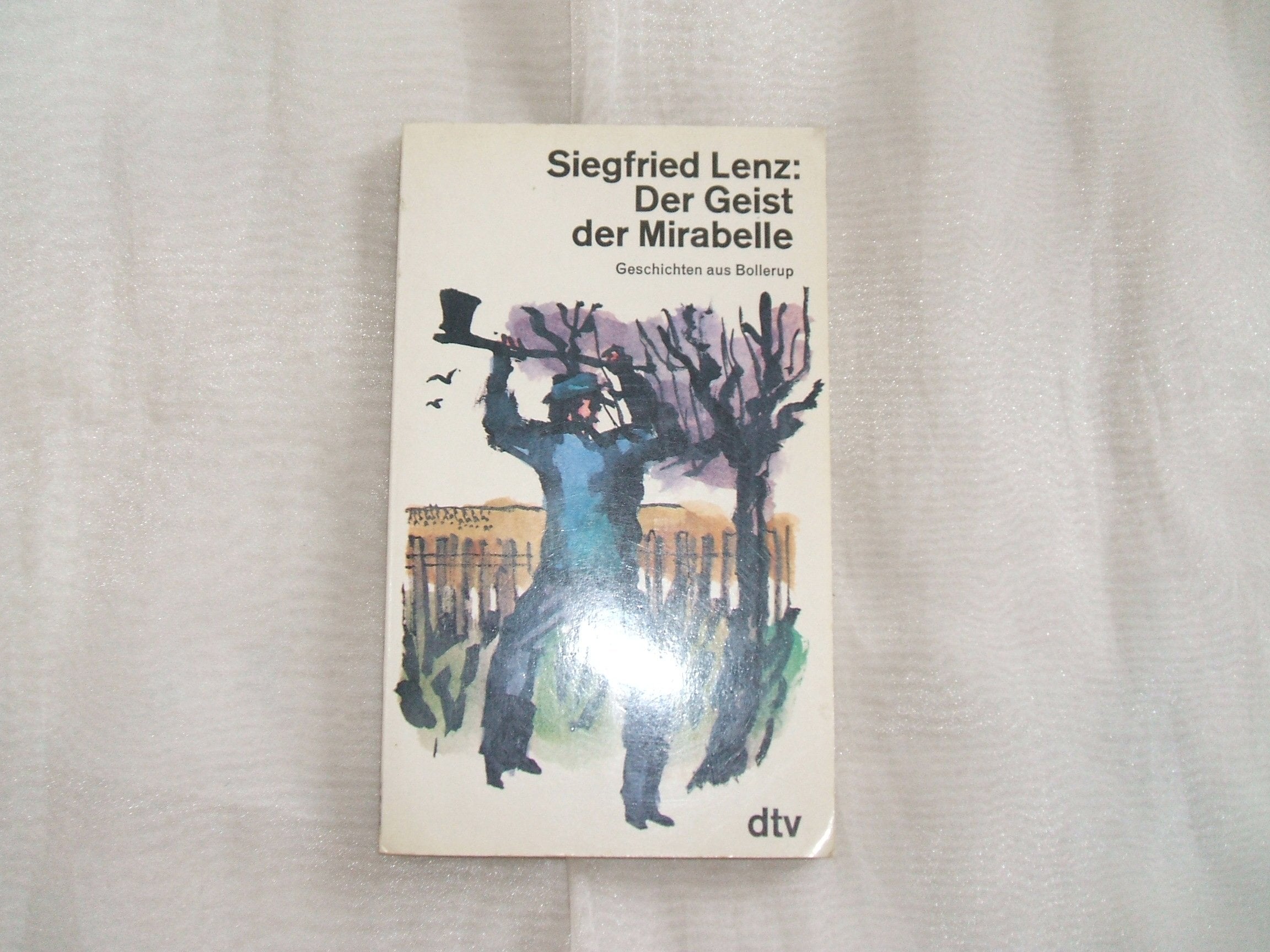 Der Geist der Mirabelle, Geschichten aus Bollerup (dtv großdruck) Essays & Short Stories