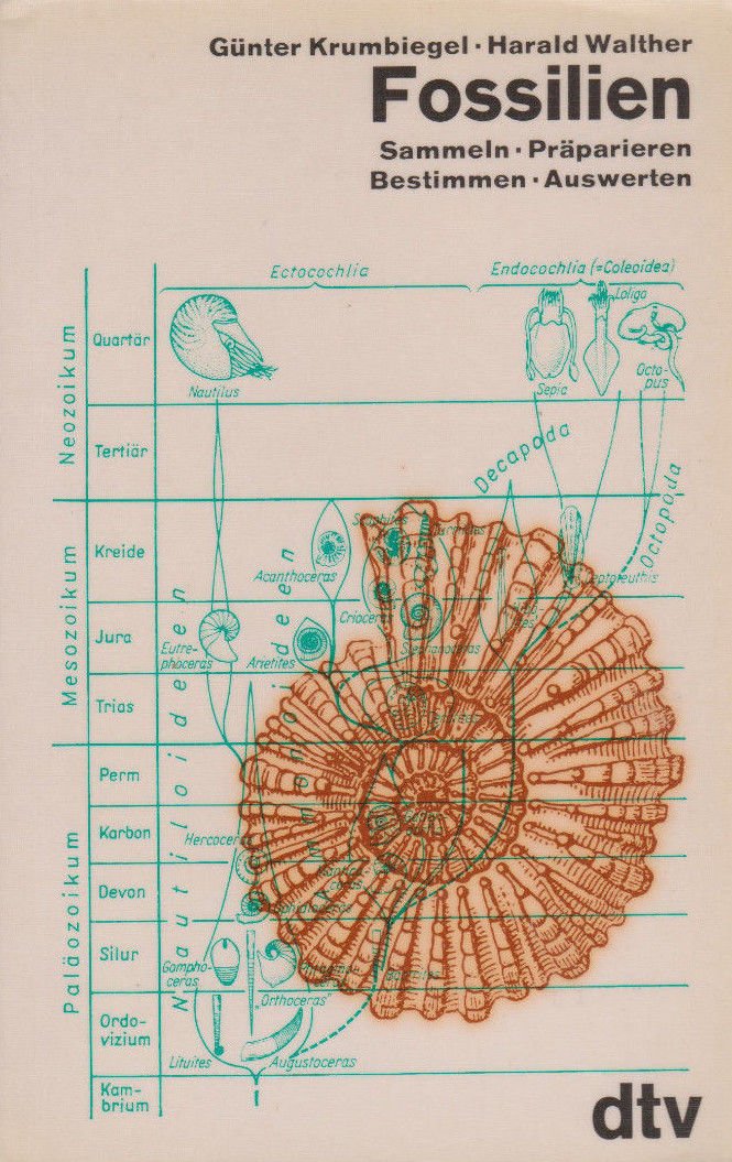 Fossilien. Sammeln. Präparieren. Bestimmen. Auswerten. Business & Technology