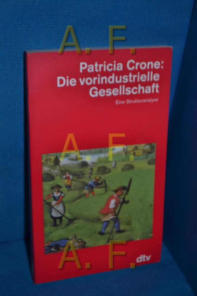 Die vorindustrielle Gesellschaft: Eine Strukturanalyse (dtv Kultur & Geschichte) Politics & History