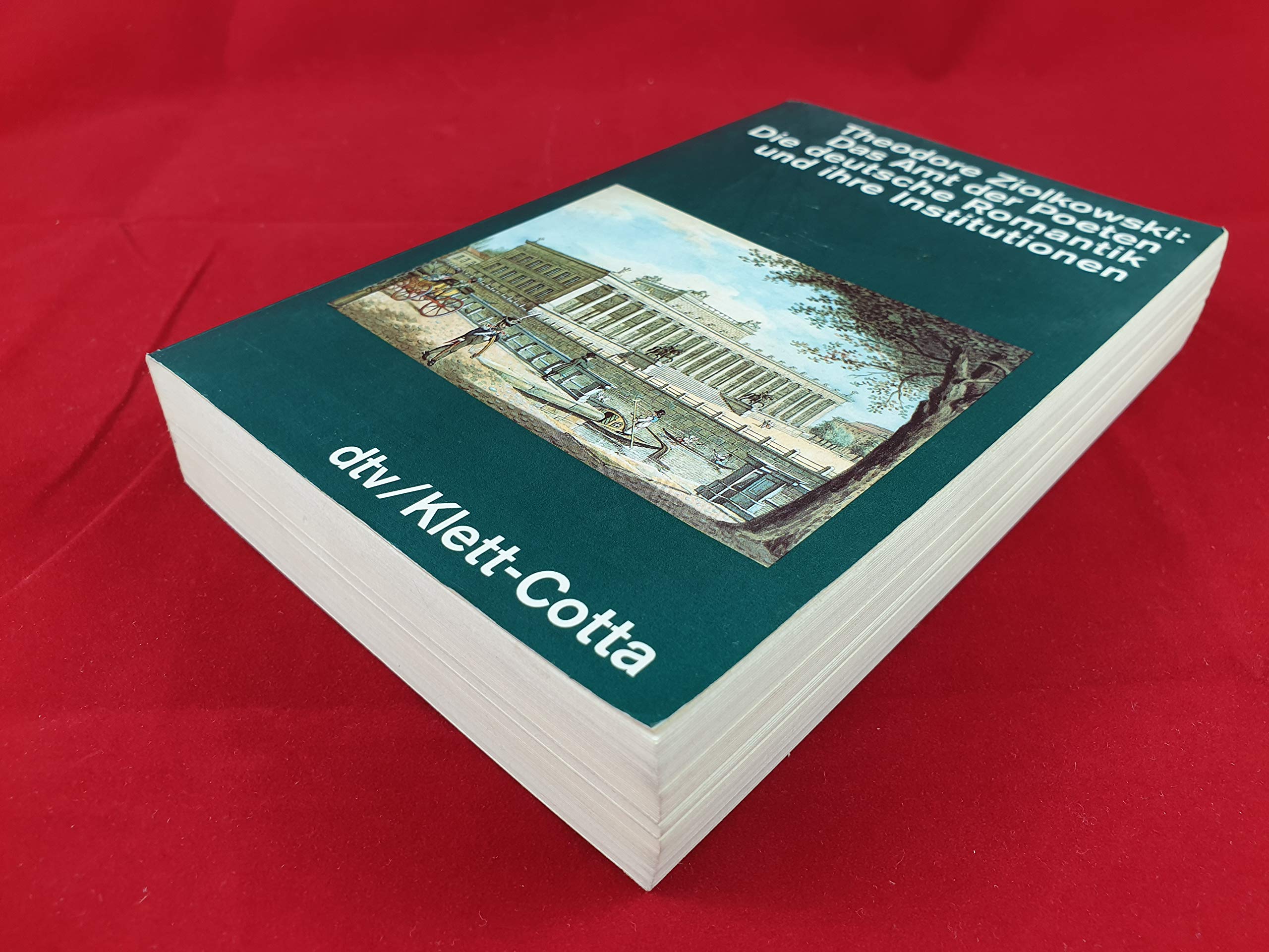 Das Amt der Poeten: Die deutsche Romantik und ihre Institutionen (dtv Kultur & Geschichte) Politics & History