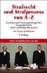 Strafrecht und Strafprozess von A - Z (dtv Beck Rechtsberater) Professional & Reference Books