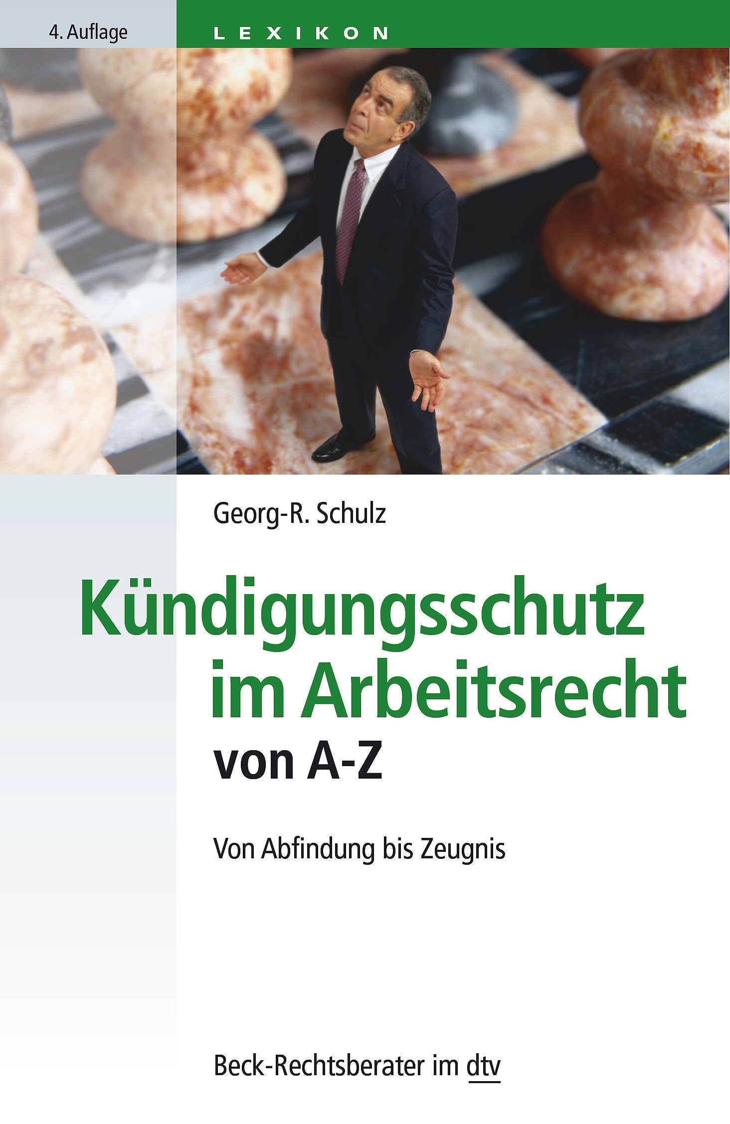 Kündigungsschutz im Arbeitsrecht von A - Z: Von Abfindung bis Zeugnis (Beck-Rechtsberater im dtv) Business, Finance & Career