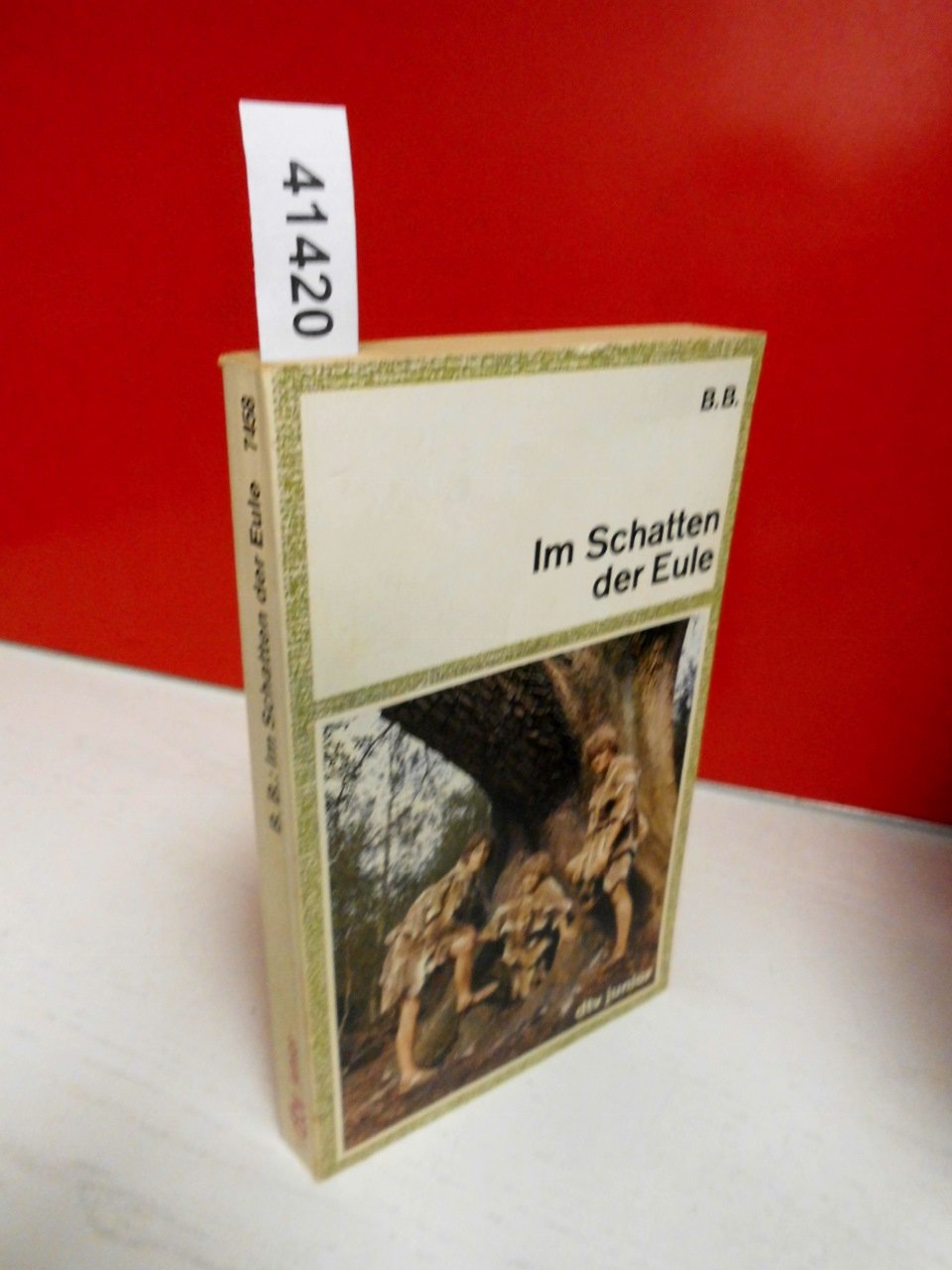 Im Schatten der Eule (dtv junior) Books