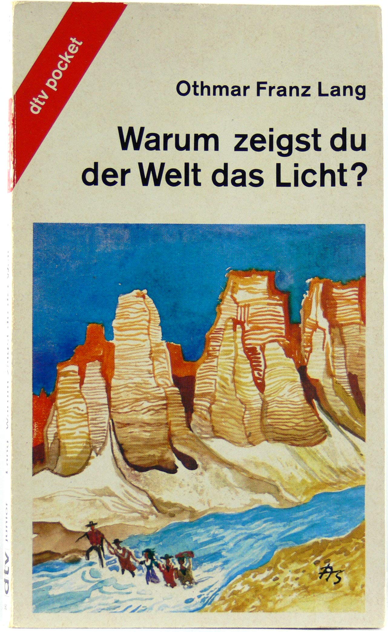 WARUM ZEIGST DU DER WELT DAS LICHT: Ein Jugendroman zum Thema Entwicklungshilfe (dtv pocket) Fiction