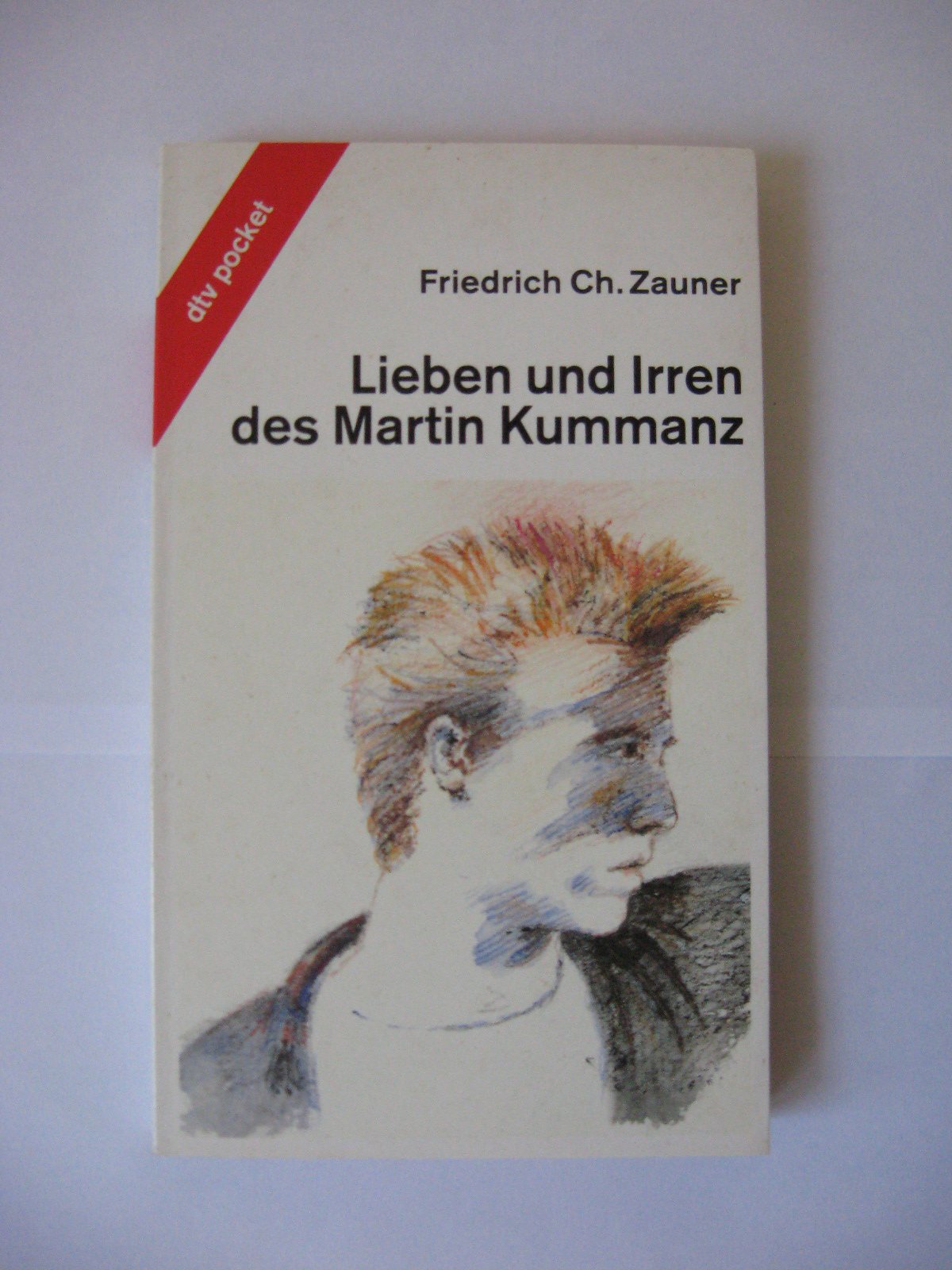 Lieben und Irren des Martin Kummanz (dtv pocket) Books
