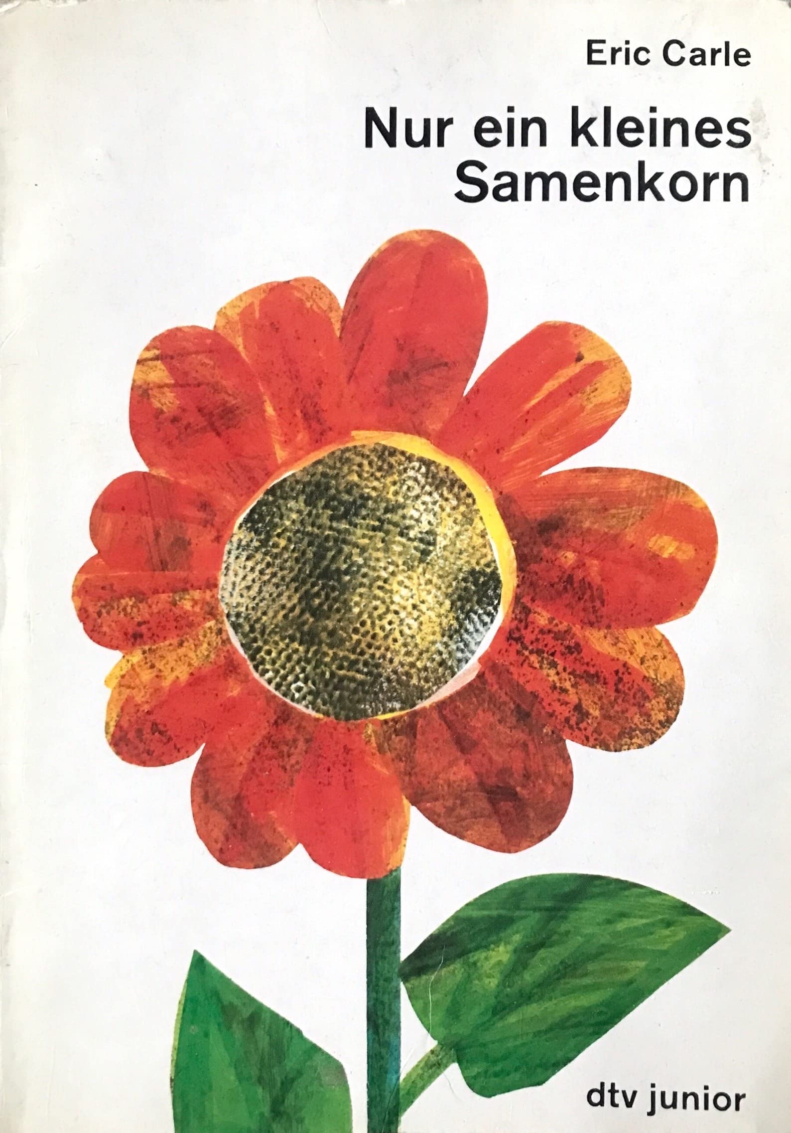Nur ein kleines Samenkorn: Ins Deutsche gebracht von Tilde Michels (dtv junior Bilderbücher) Books