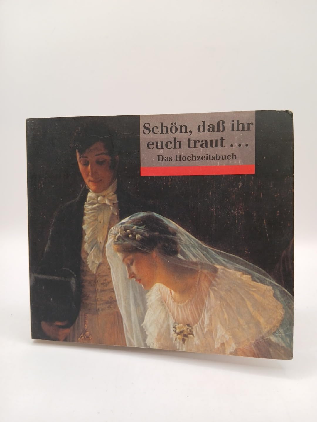Schön, daß ihr euch traut ...: Das Hochzeitsbuch (dtv Geschenkbücher von Artemis/dtv) Lifestyle