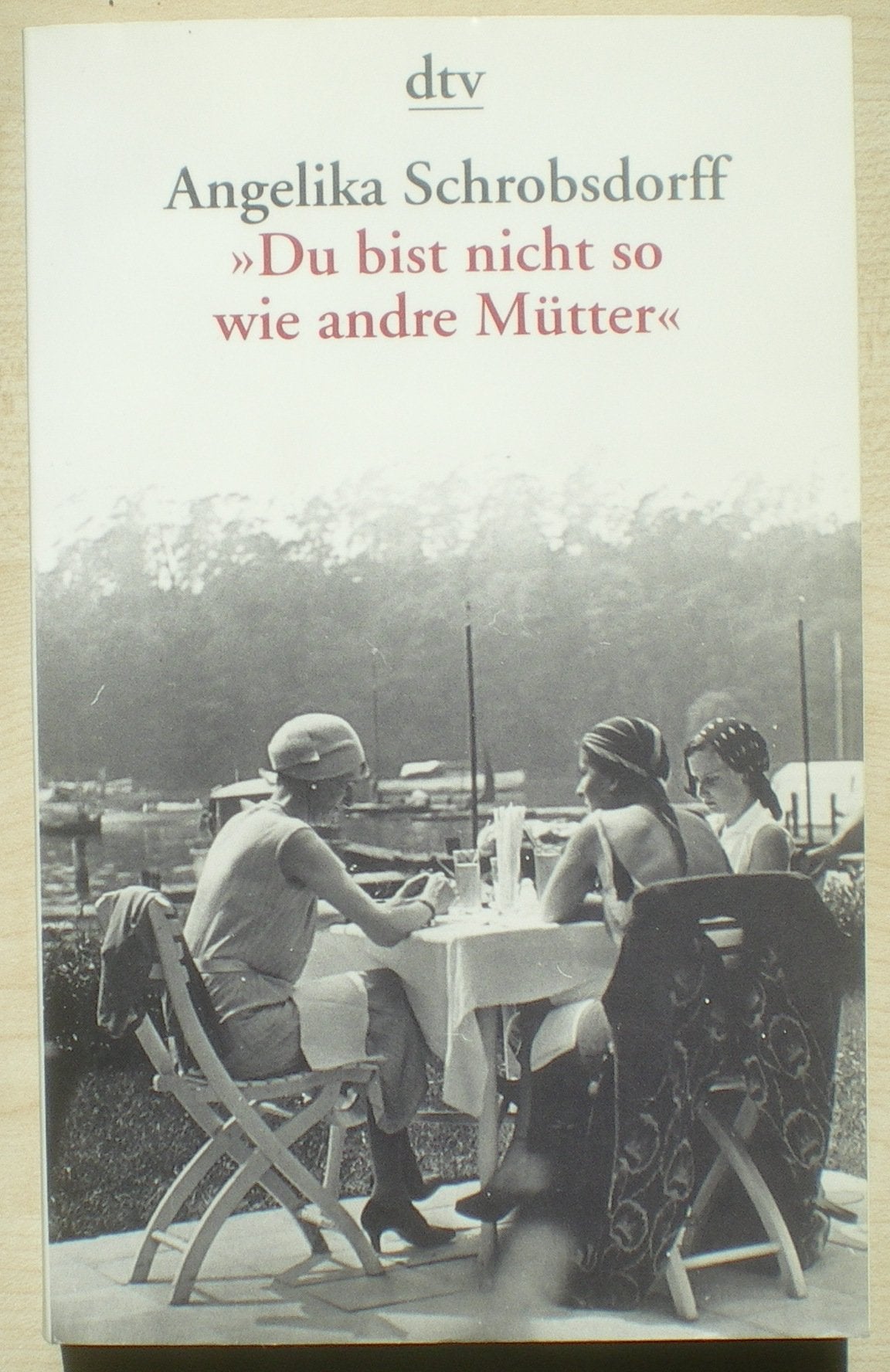"Du bist nicht so wie andre Mütter": Die Geschichte einer leidenschaftlichen Frau (dtv Unterhaltung) Essays & Short Stories