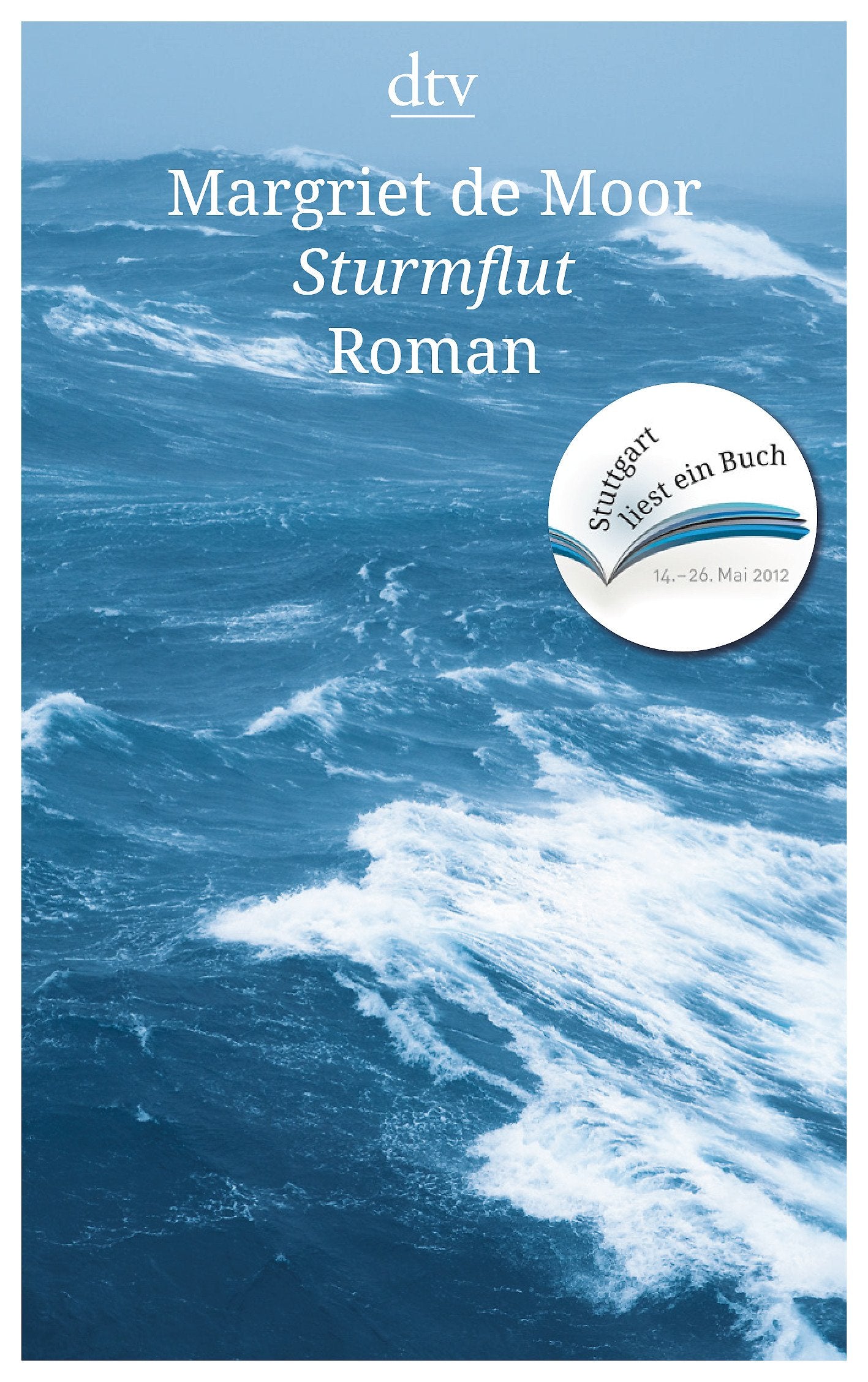 Sturmflut Contemporary literature Books