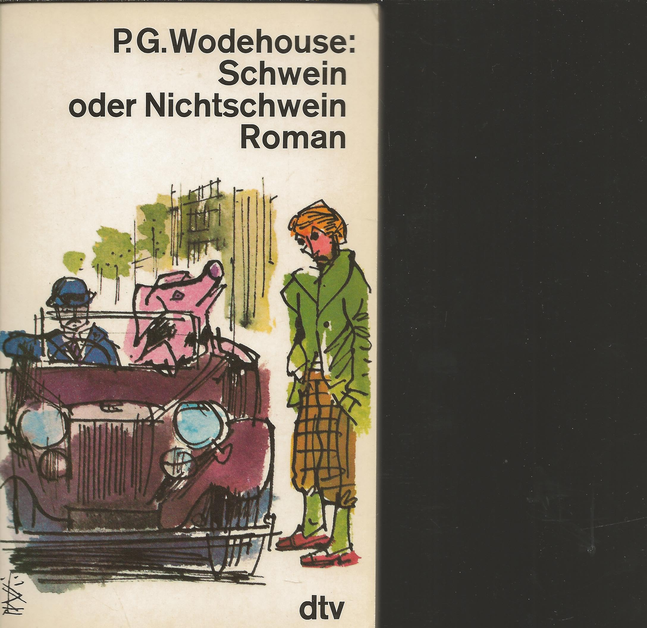 Schwein oder Nichtschwein. Roman Contemporary literature