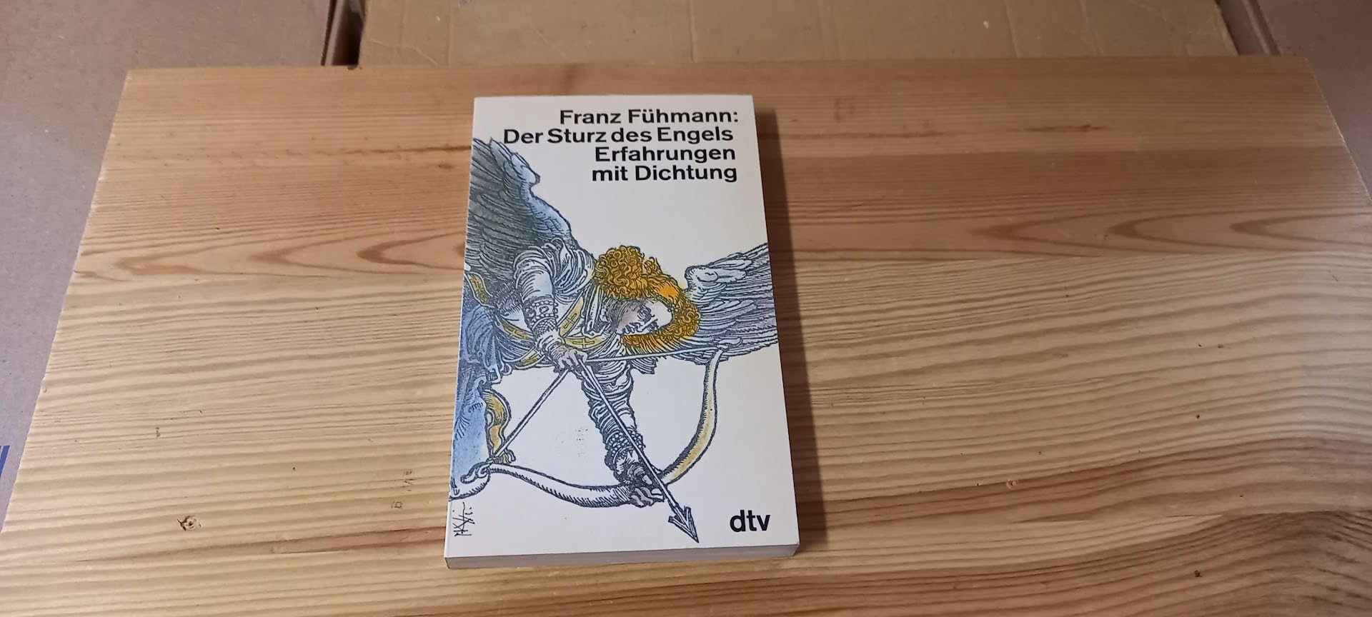 Der Sturz des Engels: Erfahrungen mit Dichtung book
