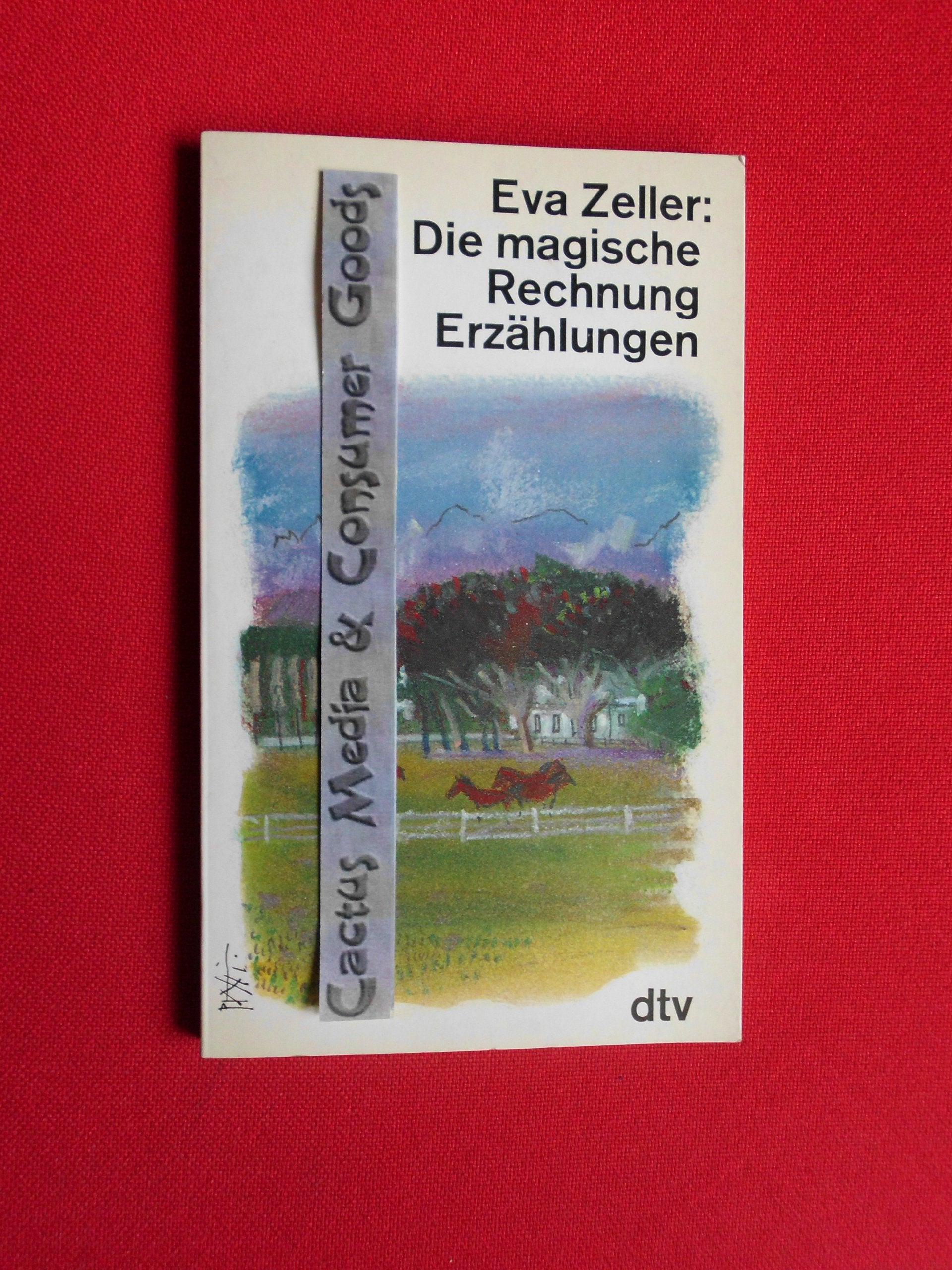 Die magische Rechnung: Erzählungen (dtv Literatur) Books