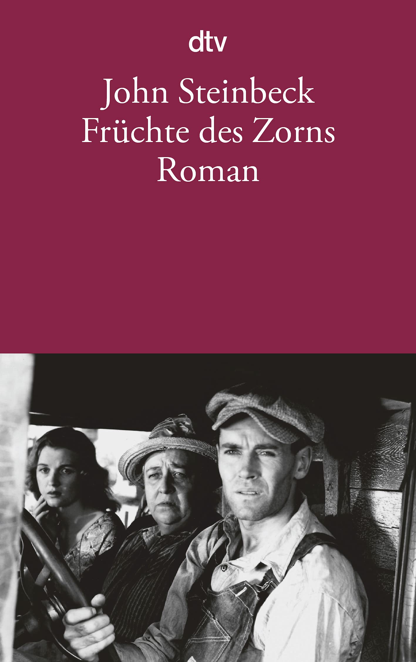 Früchte des Zorns Contemporary literature Books
