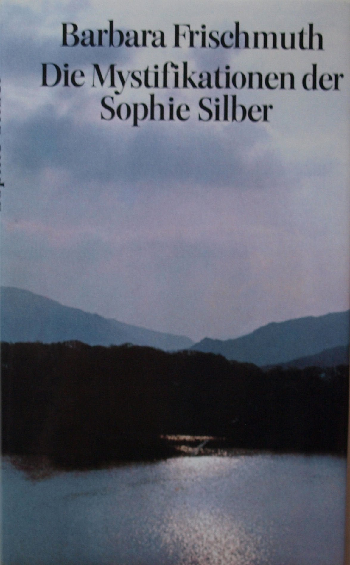 Die Mystifikationen der Sophie Silber: Roman (dtv Literatur) Contemporary literature