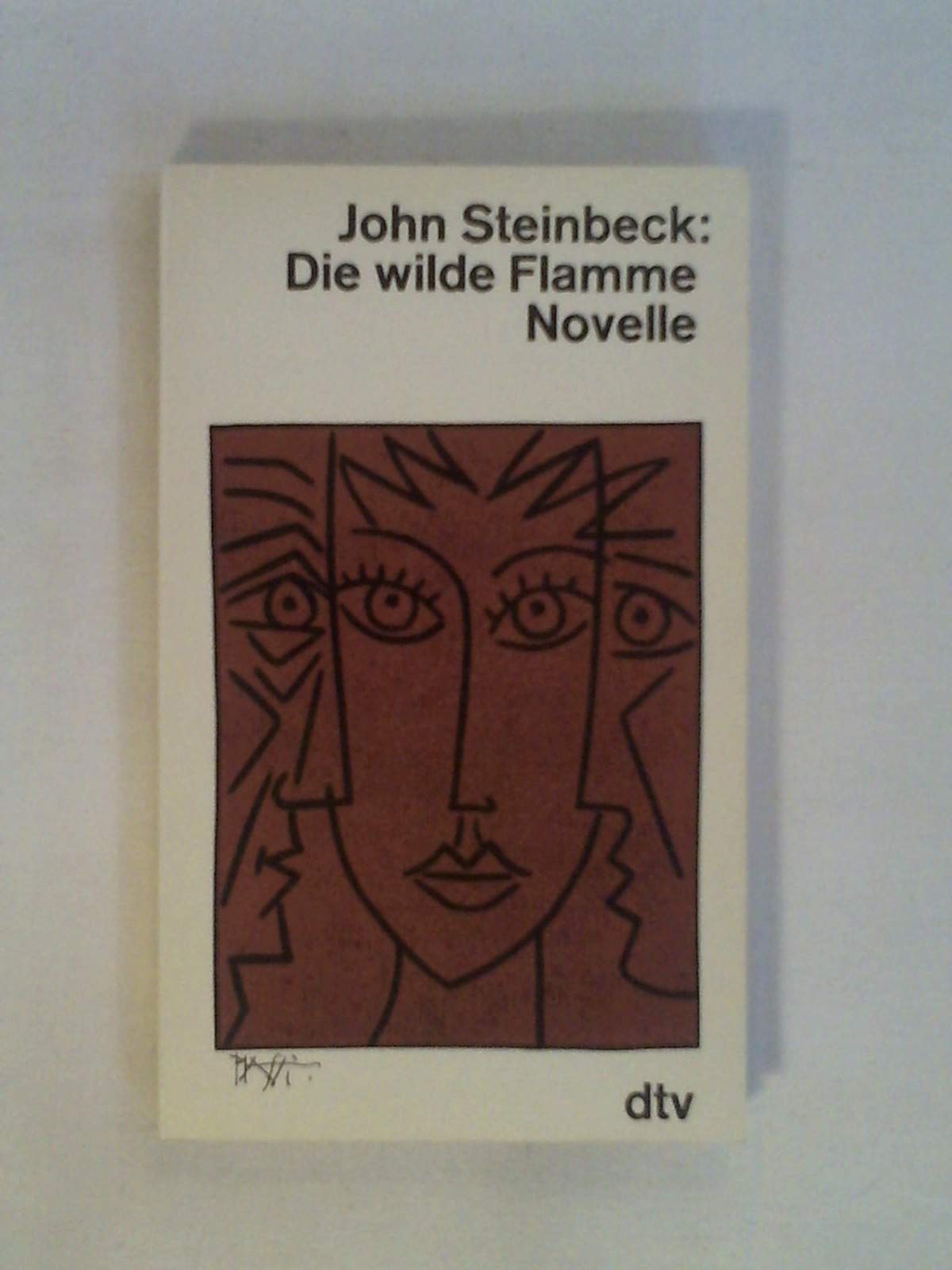 Die wilde Flamme: Eine Schauspiel-Novelle (dtv Literatur) Books