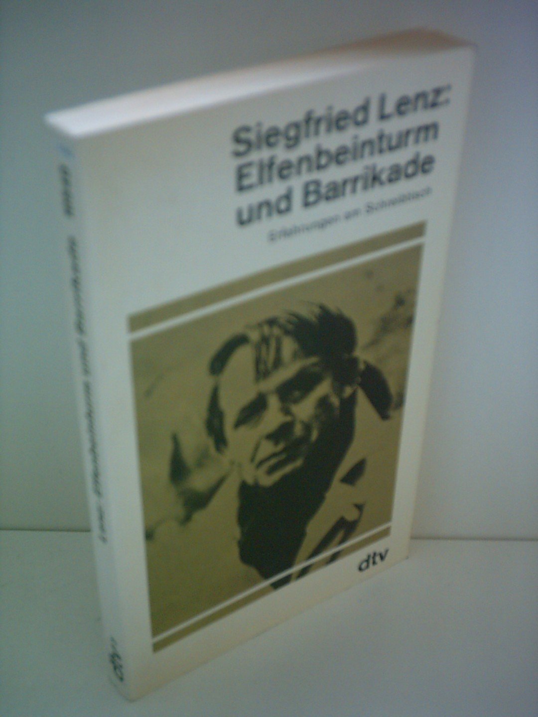 Elfenbeinturm und Barrikade: Erfahrungen am Schreibtisch (dtv Literatur) Essays & Short Stories