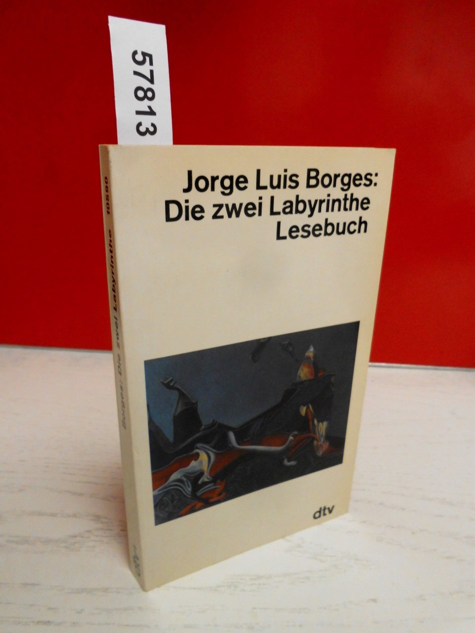 Die zwei Labyrinthe: Lesebuch (dtv Literatur) Books