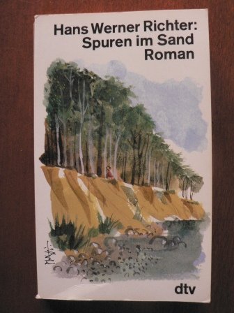 Spuren im Sand: Roman (dtv Literatur) Contemporary literature