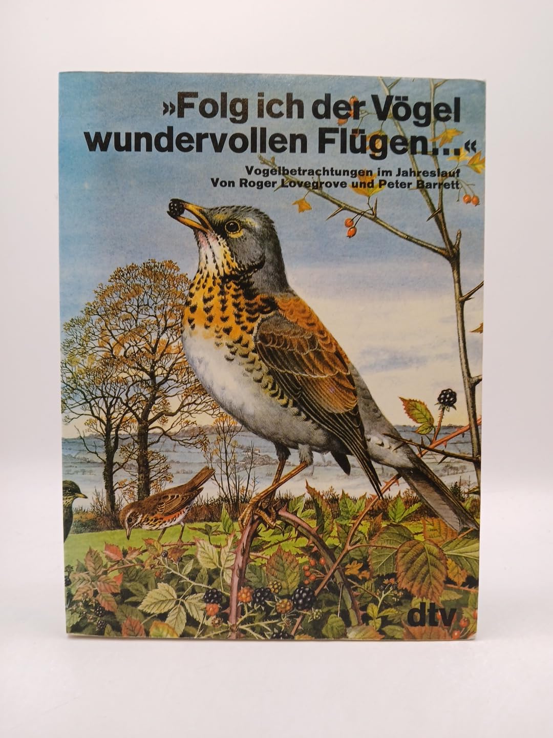 "Folg ich der Vögel wundervollen Flügen...": Vogelbetrachtungen im Jahreslauf (dtv Literatur) Natural Sciences