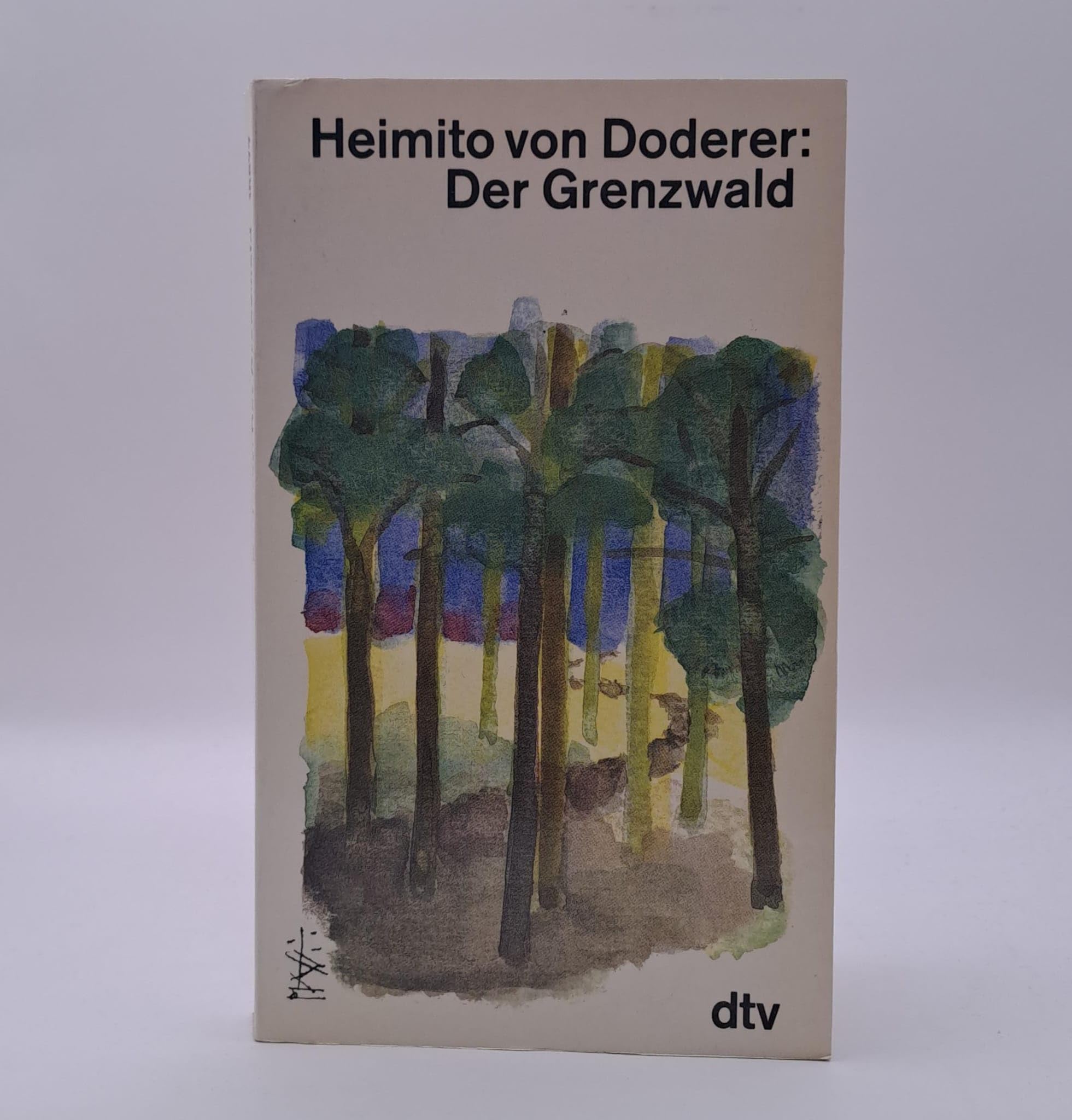 Der Grenzwald: Fragment (dtv Literatur) Books