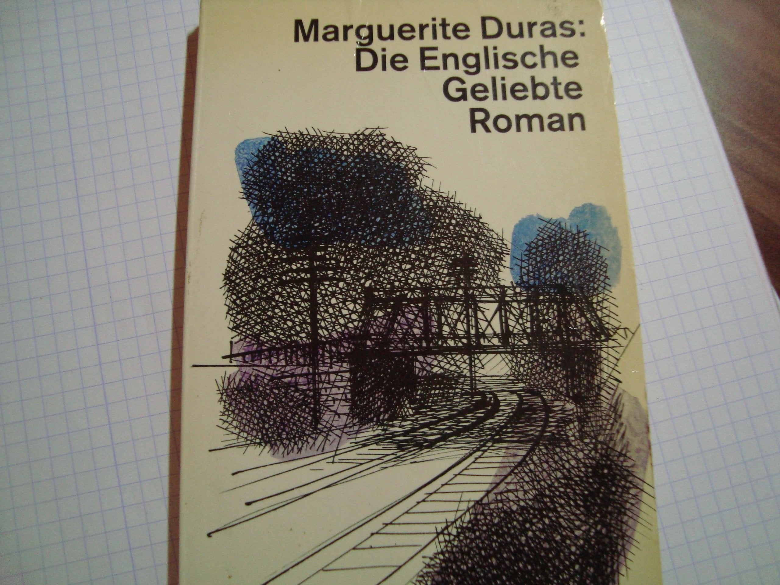 Die Englische Geliebte: Roman (dtv Literatur) Books