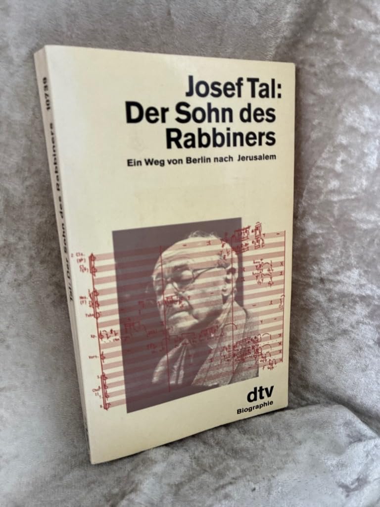 Der Sohn des Rabbiners: Ein Weg von Berlin nach Jerusalem (dtv Literatur) Memories