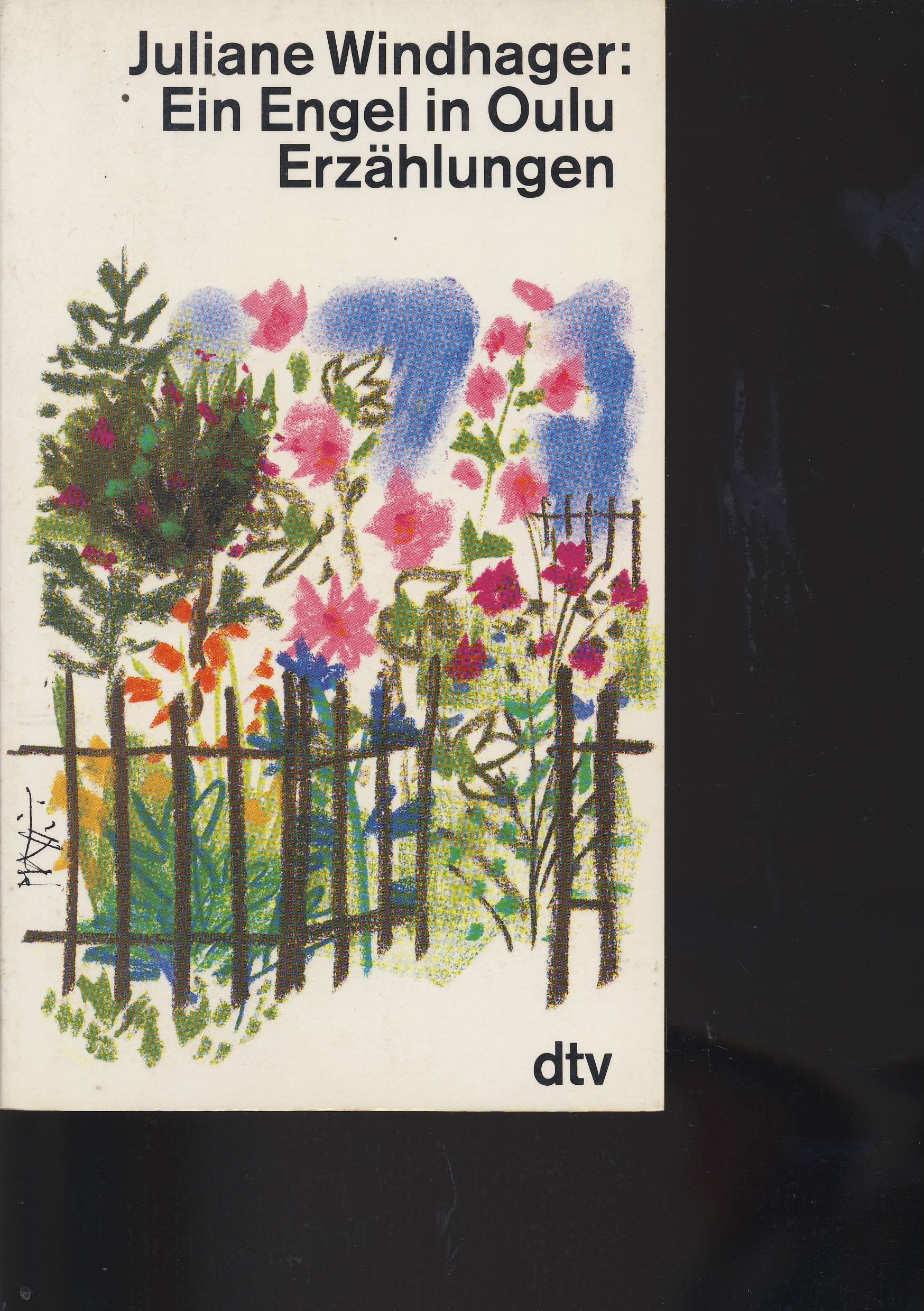 Ein Engel in Oulu: Erzählungen (dtv Literatur) Books