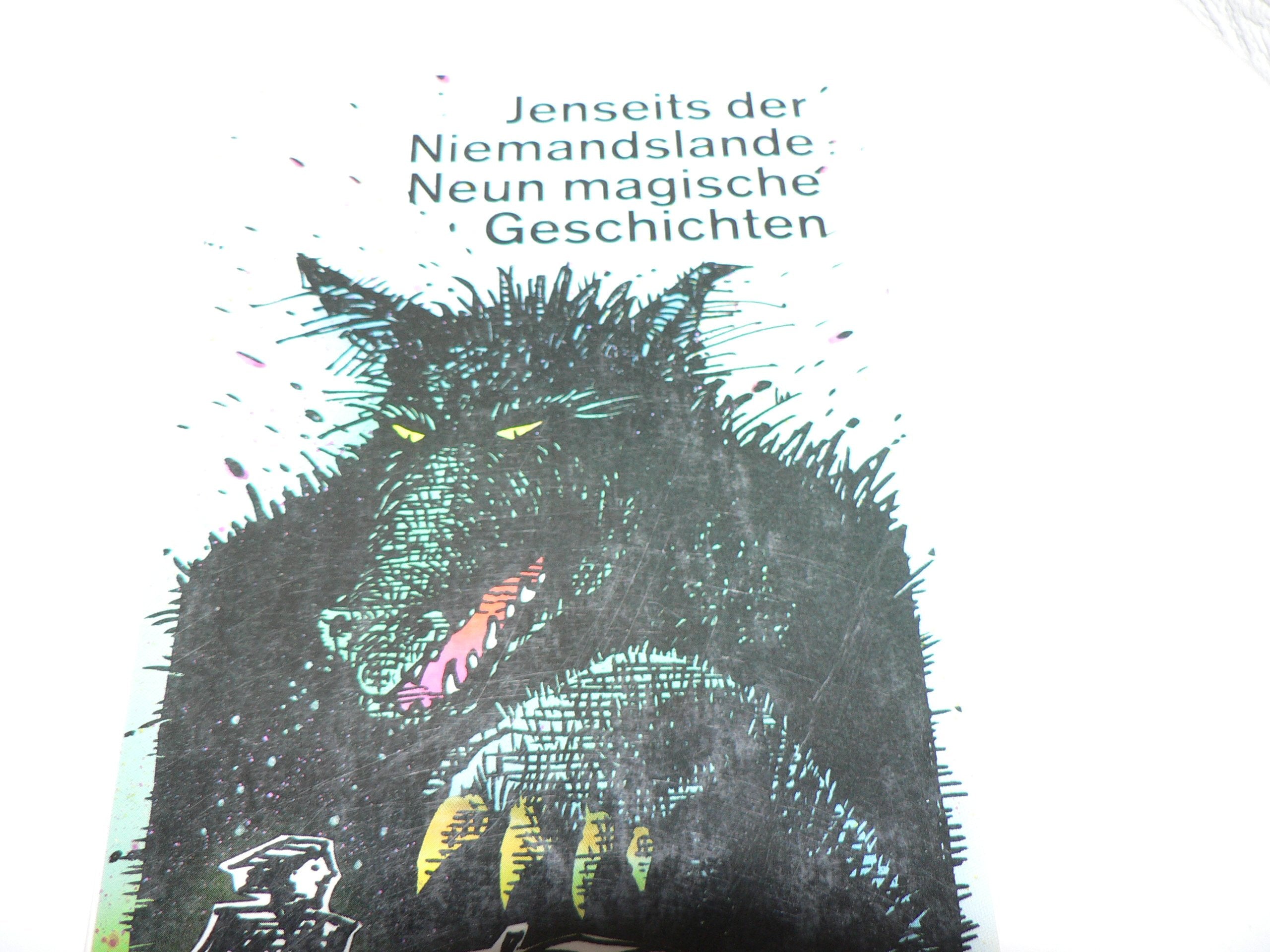 Jenseits der Niemandslande: Neun magische Geschichten (dtv Literatur) Books